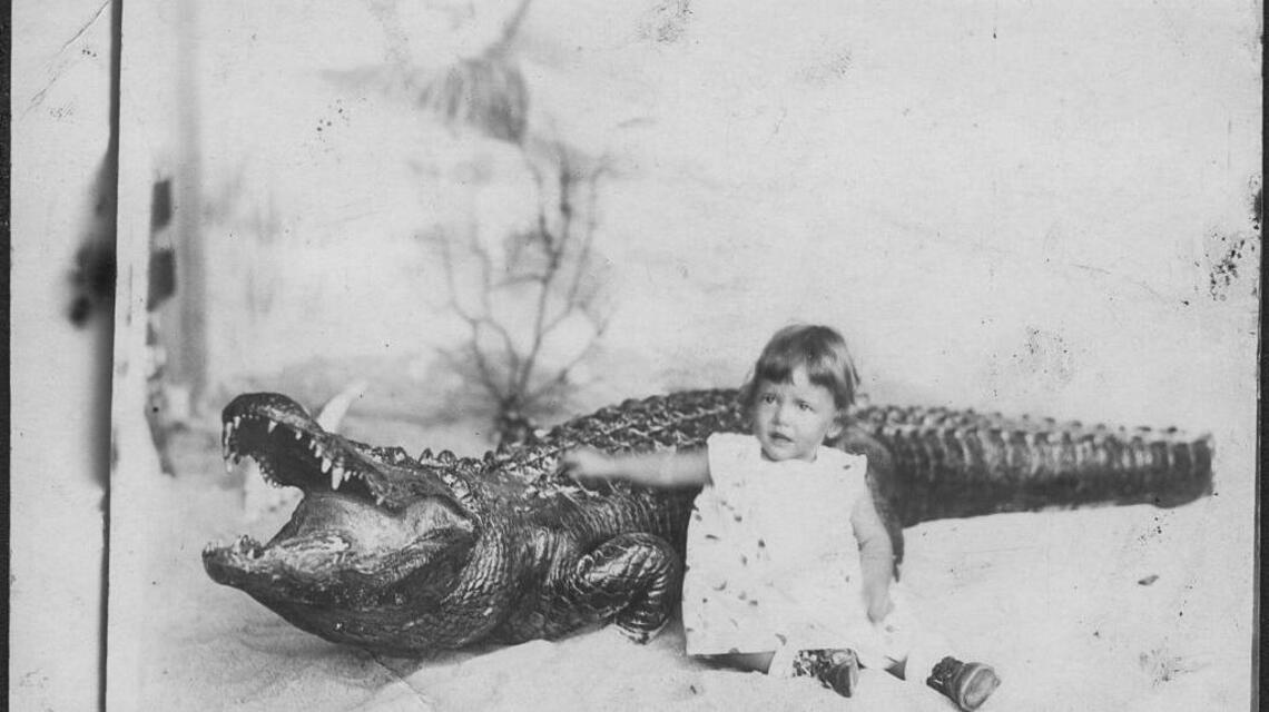 Teacher used alligator to connect with students and city