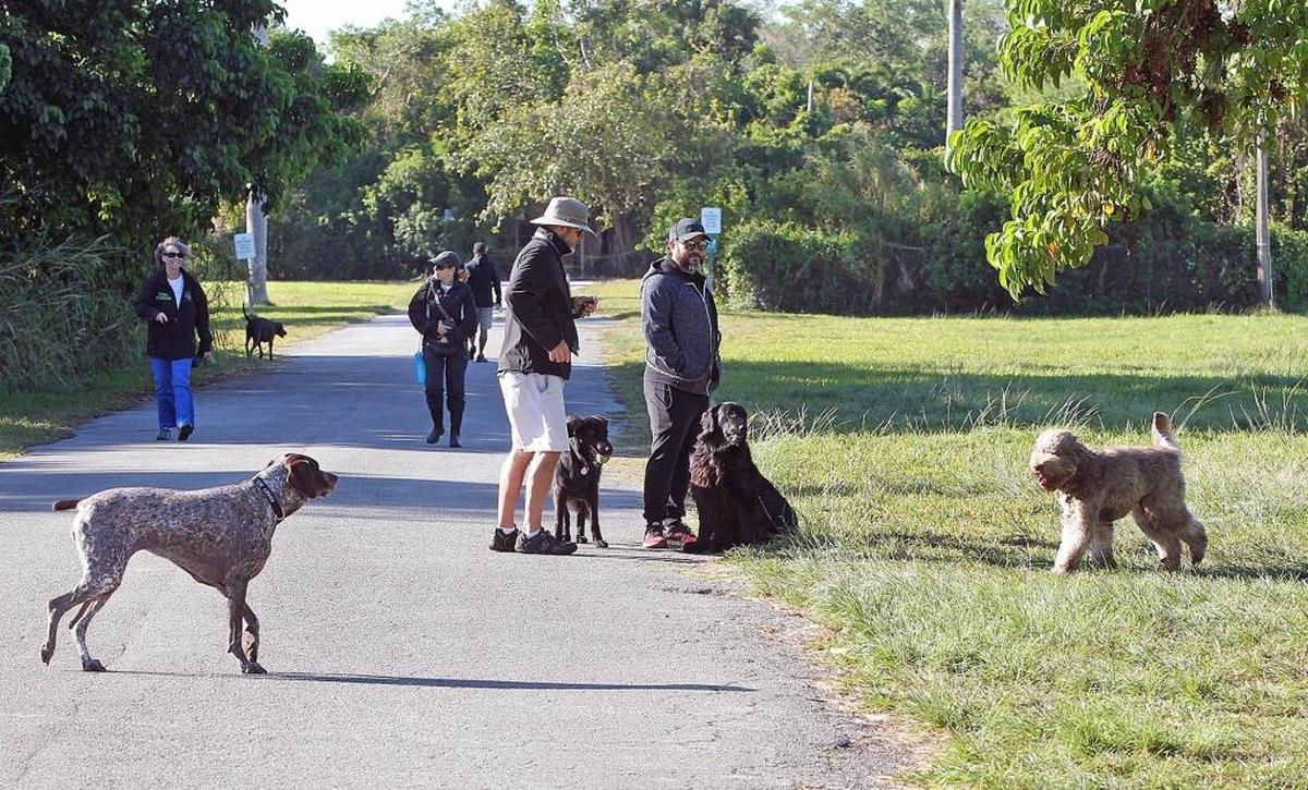 In this 2018 file photo, dog owners go for a walk at the unofficial dog park within West Matheson Park.  The park reopened to people and pets Monday after being closed for nearly three months to suppress the spread of coronavirus.