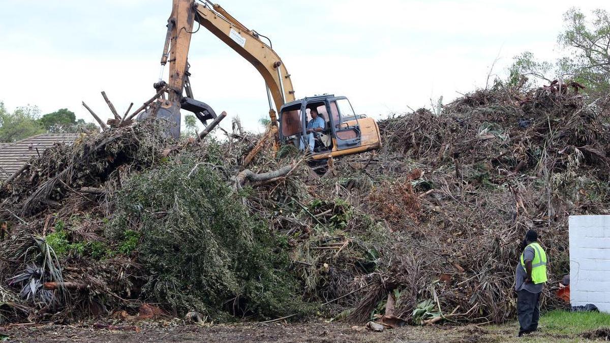 Kingston Saintiche, a dump truck operator with ICS Materials, watches as a subcontractor from Grubbs works a large excavator on top of a mountain of debris near Biscayne Park's village hall on Sept. 22, 2017. Another debris clearing company, Ashbritt, has filed a lawsuit against the city of North Miami Beach after losing its contract after Hurricane Irma.