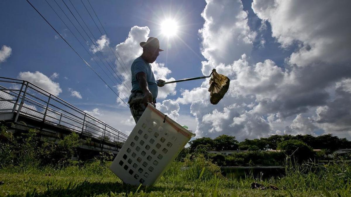 
Ossie Randle picks up trash in his neighborhood. His neighborhood is surrounded by mounds of trash. And several times a week, he heads out with giant bags to collect it. He wants the city of North Miami to do a better job, like the neighboring village of Miami Shores, at taking care of public streets and sidewalks.
