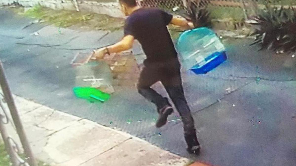 A suspected bird thief caught on camera carrying a Little Havana man’s three birdcages. Miami Police are investigating the theft.