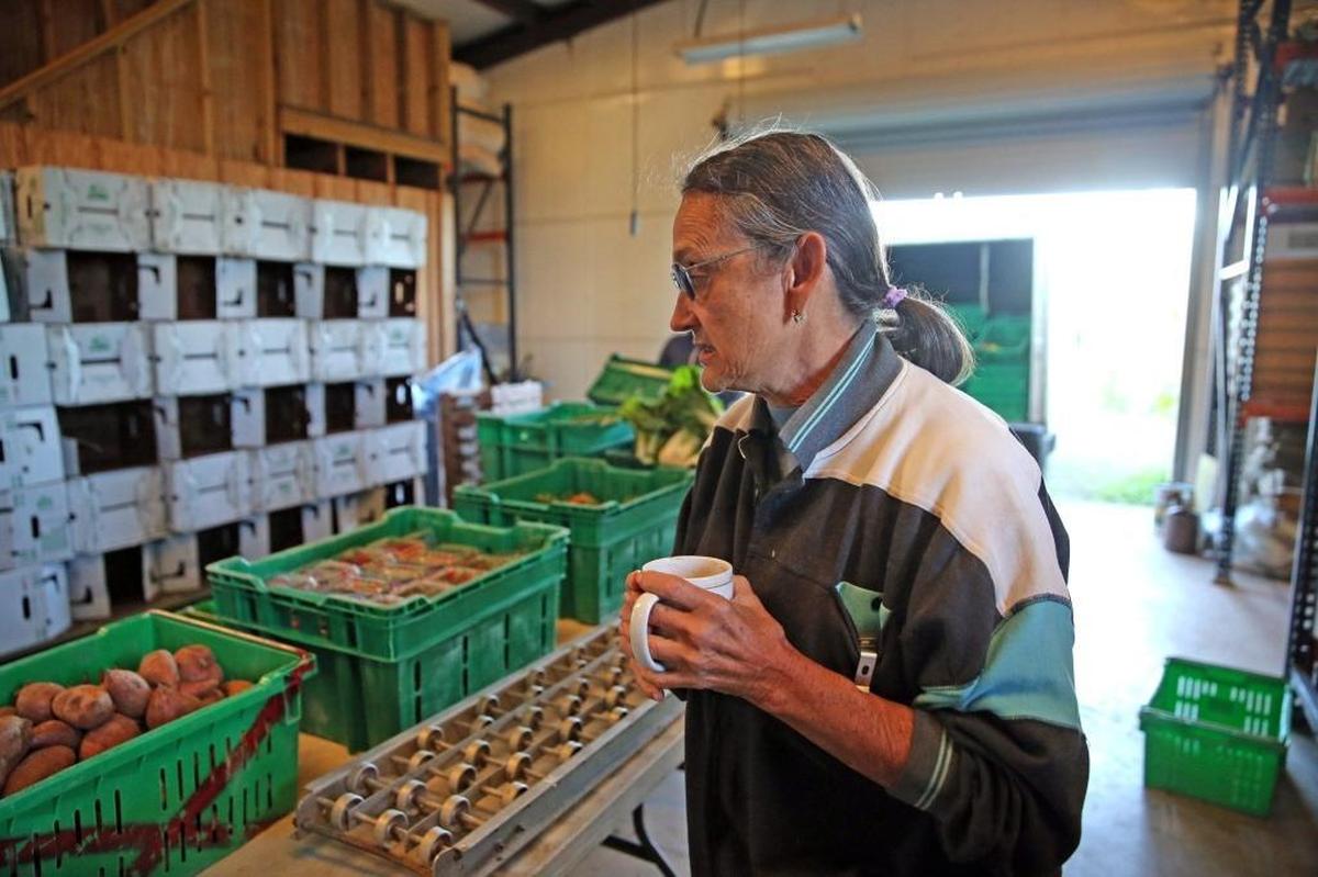Holding a warm cup of coffee, Margie Pikarsky, owner of Bee Heaven Farm, watches her harvest being packaged on her farm in Homestead, Florida, on Jan. 5, 2018. With temperatures dipping into the 30s in the early morning hours of Jan. 5, South Miami-Dade farmers tried to protect their crops from the cold weather. The temperature dropped to 34 degrees, two degrees above freezing, which saved the crop.