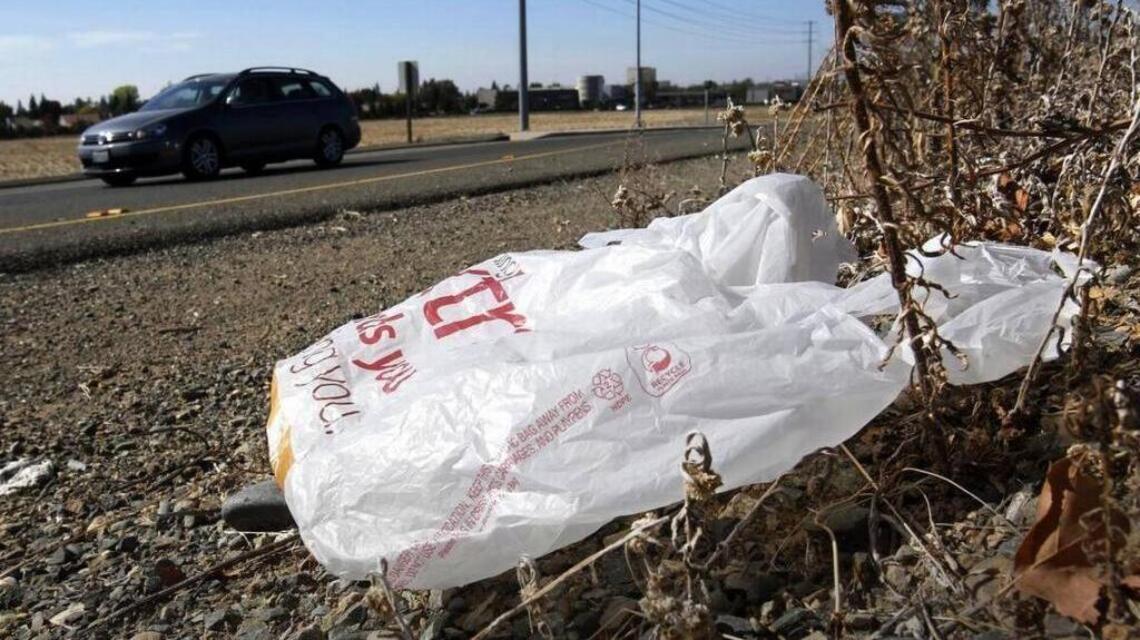 Palmetto Bay on way to banning single-use plastic bags at city events