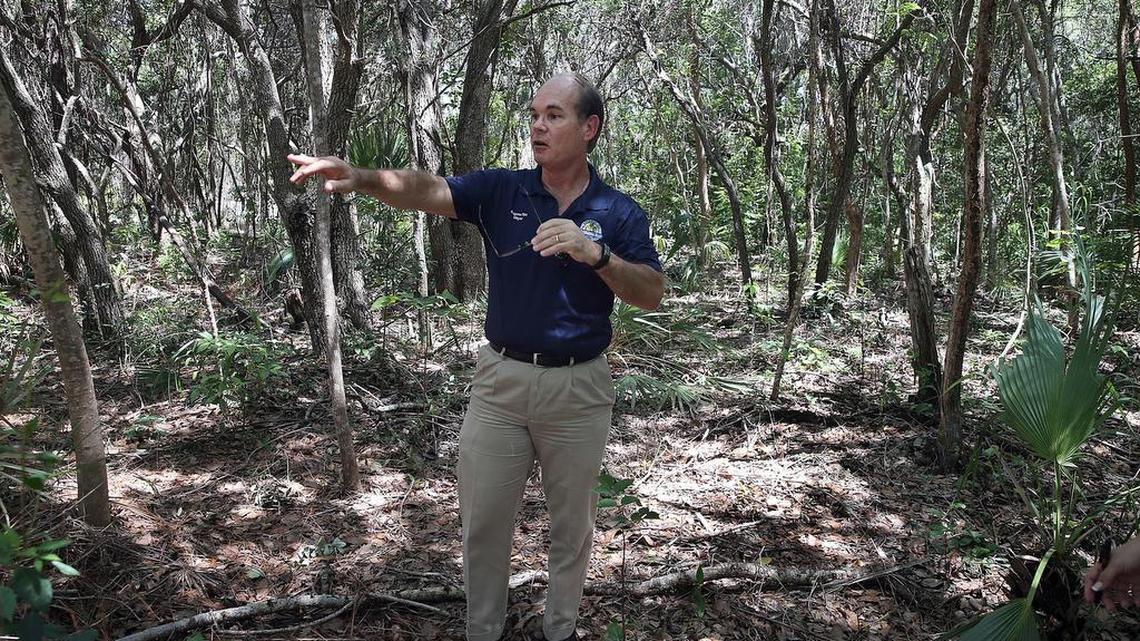 Eugene Flinn, mayor of Palmetto Bay, points out native plants and butterflies in a wooded area on Old Cutler Road that was earmarked to be a city park under a 2016 development plan that was rescinded Monday.