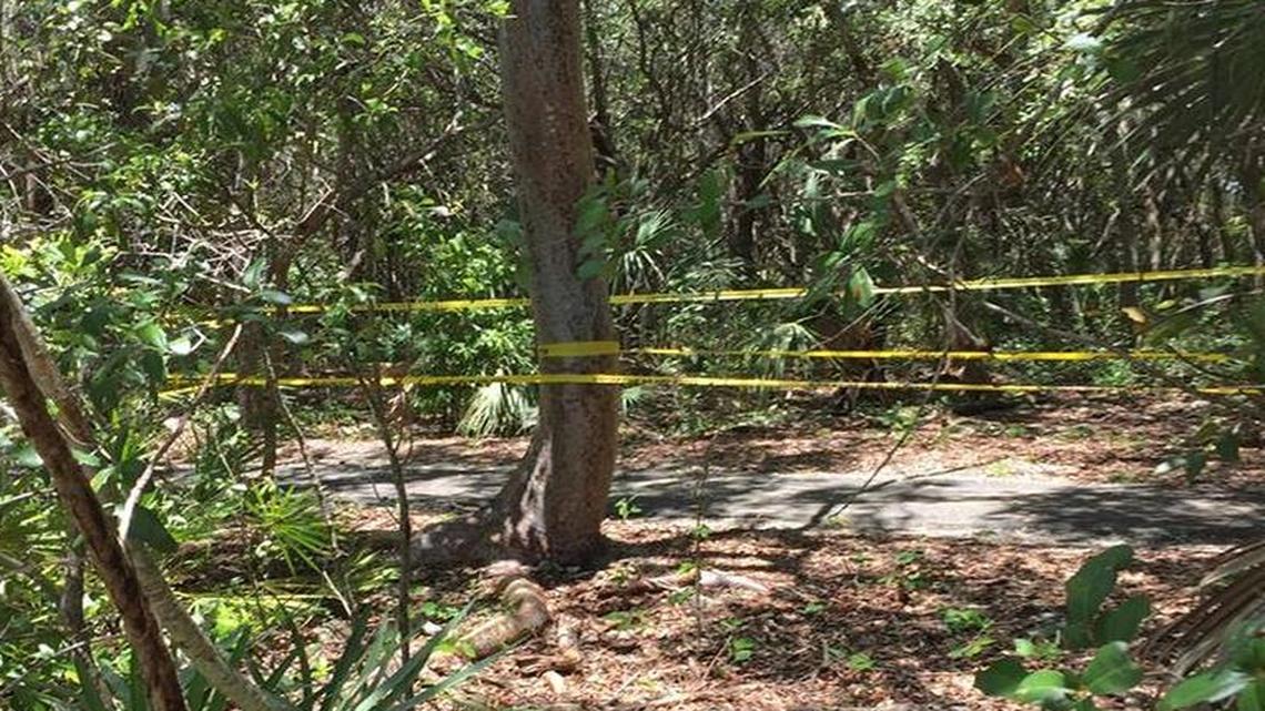 Landscapers discovered adult skeletal human remains alongside a wooded Palmetto Bay nature trail Tuesday morning. Police shut down the area for several hours.