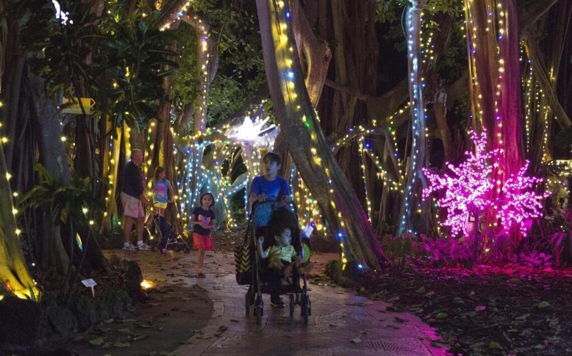 Pinecrest Gardens ‘lit up the night’ in honor of Live Like Bella Foundation