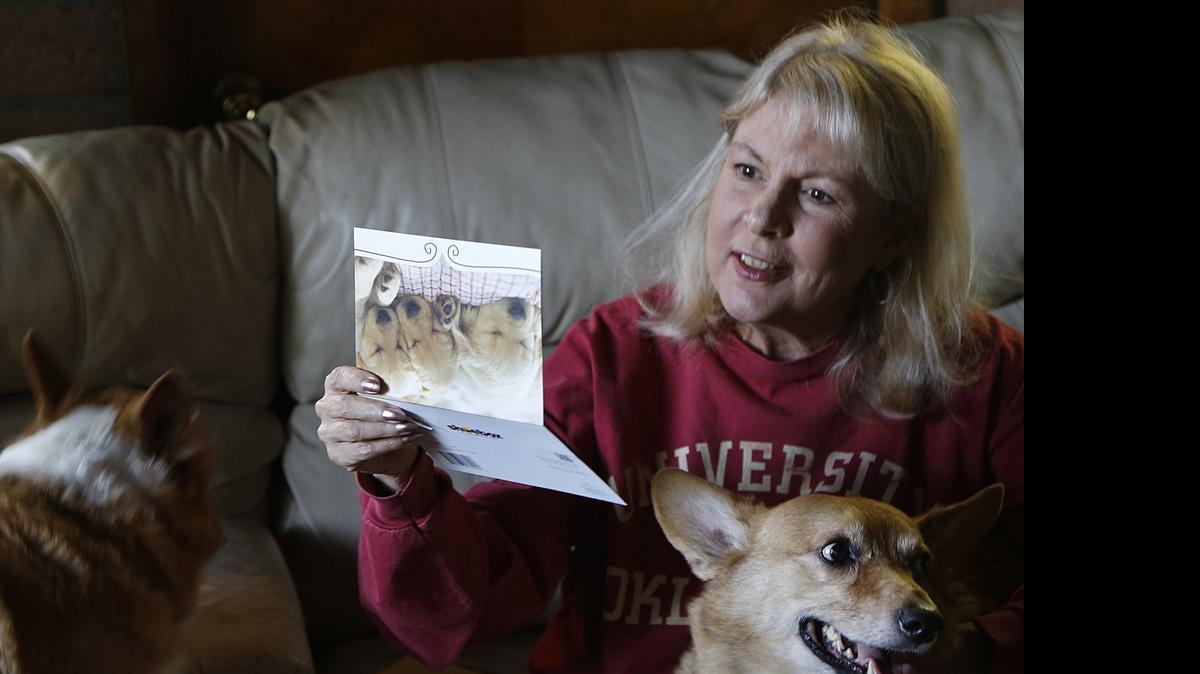
MEMORIAL FOR BELOVED BROADCASTER: A public memorial for television and radio broadcaster Kelley Mitchell will be held at 10 a.m. Tuesday at Miami Theater Center in Miami Shores. Mitchell, who worked at WSVN-TV, WPLG-TV and WLRN over the years, was photographed in November 2014 for a Miami Herald story she wrote about her dog Oscar’s battle with cancer.
