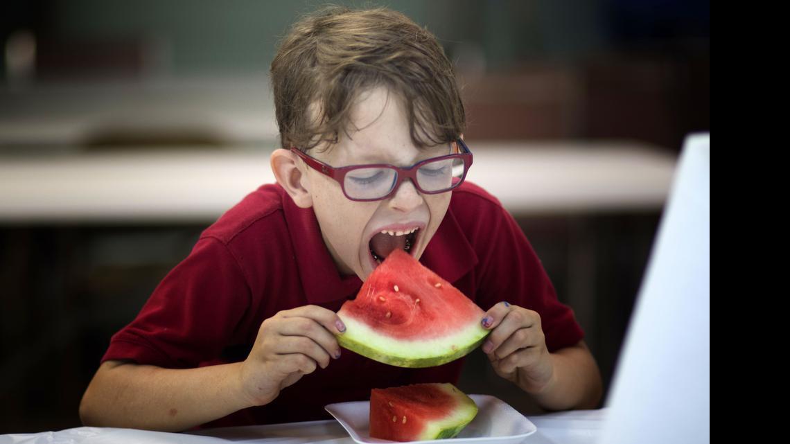
Liam Meredith competes in the watermelon eating contest at the Old Fashion July 4th event at Flamingo Gardens in Davie, Fla, Saturday, July 4, 2015. 

