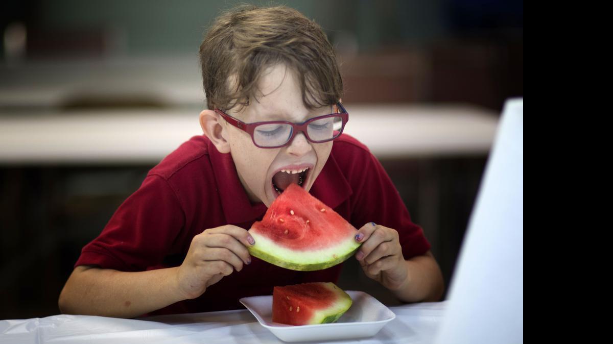 
Liam Meredith competes in the watermelon eating contest at the Old Fashion July 4th event at Flamingo Gardens in Davie, Fla, Saturday, July 4, 2015. 
