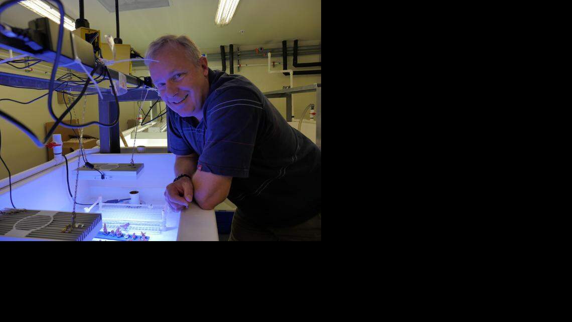 
Marine Biologist Chris Langdon at the University of Miami Rosenstiel School of Marine and Atmospheric Science where a study found soft corals are more resilient to climate change than previously thought.
