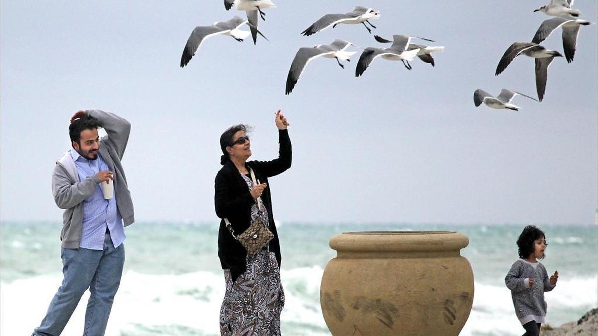 Sarasota resident Athar Bozai, left, shields his head as his mother, Salha Khatoon, feeds birds on Hollywood Beach in December.