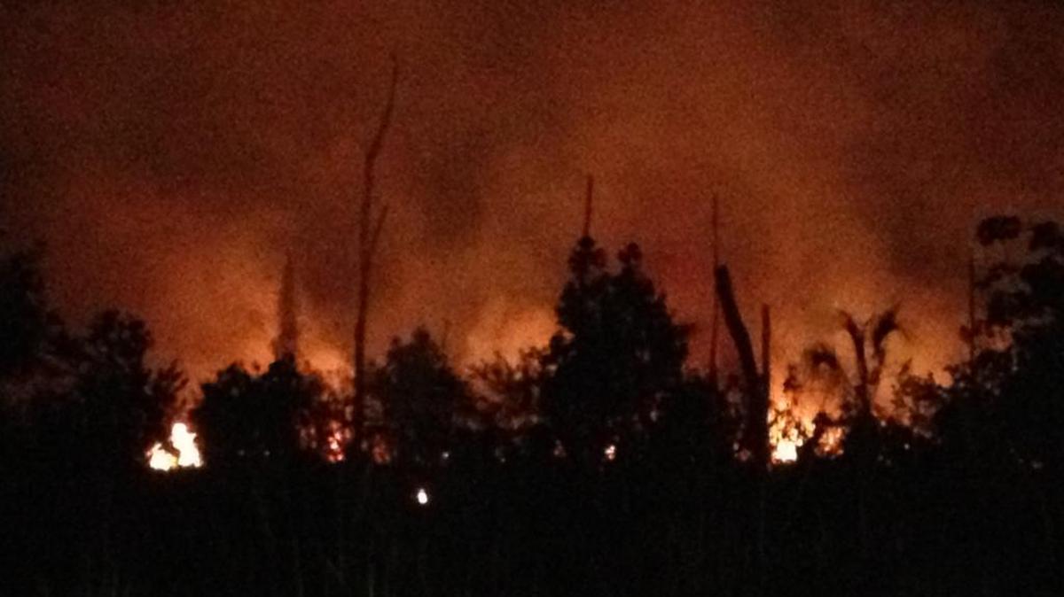 A brush fire burns in the woods off Card Sound Road near Florida City in April 2016. A similar wildfire on Thursday morning, March, 4, 2021, closed Card Sound Road at the intersection of County Road 905