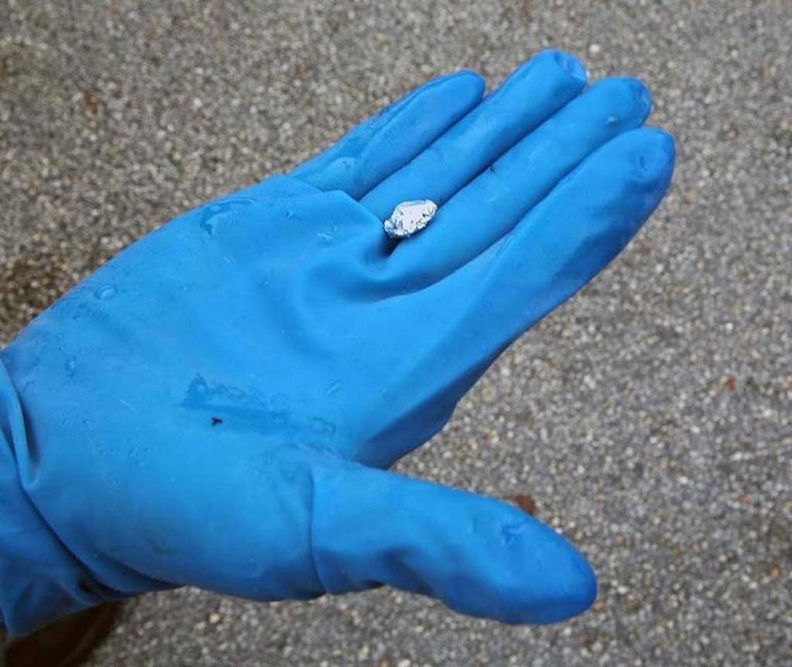 A small but powerful dose of carfentanil seized by Miami-Dade police in South Miami-Dade in December.