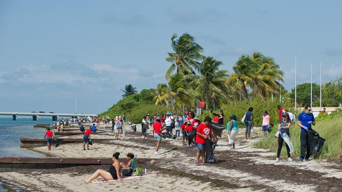 Hundreds of volunteers collect trash and debris during the shoreline cleanup at Virginia Key Beach Park in 2015. The city is considering a proposal to build a public lounge and pavilion.