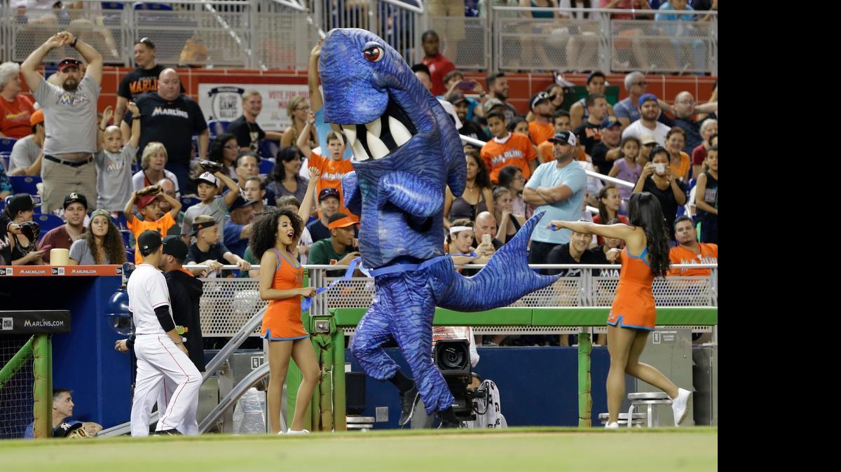 
Bob the Shark wins the Miami Marlins sea creatures race during the sixth inning of a baseball game between the Miami Marlins and the St. Louis Cardinals, Tuesday, June 23, 2015, in Miami. A woman has filed a lawsuit against the Miami Marlins after mascot Bob the Shark staged an “attack” that she says caused her ongoing neck and back injuries. 
