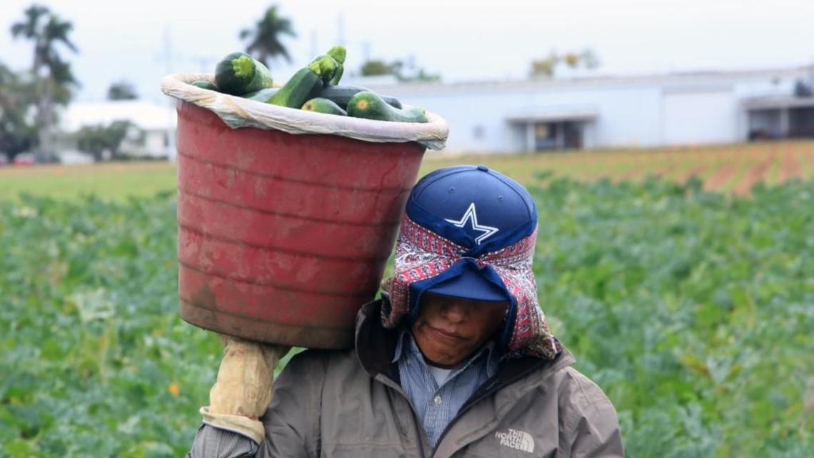 Court lets Florida woman who abused H-2A employees work for Florida man who did the same