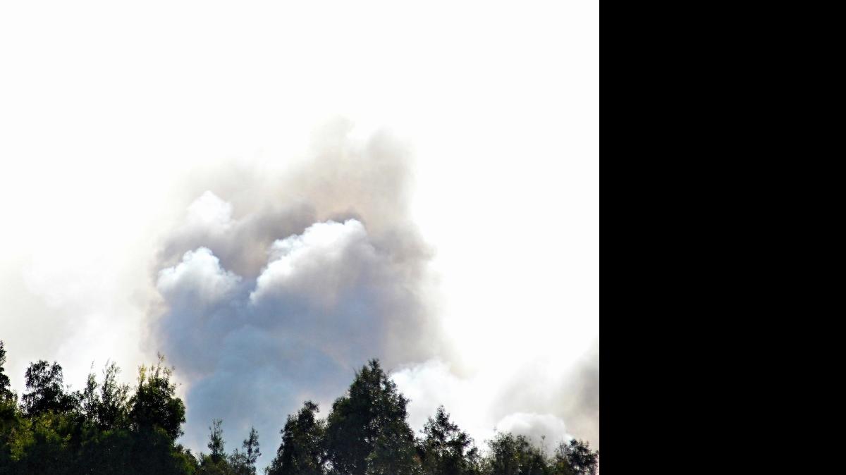 
Smoke billows from the top of the tree line as a brush fire consumes about 400 acres in southwest Miami-Dade.
