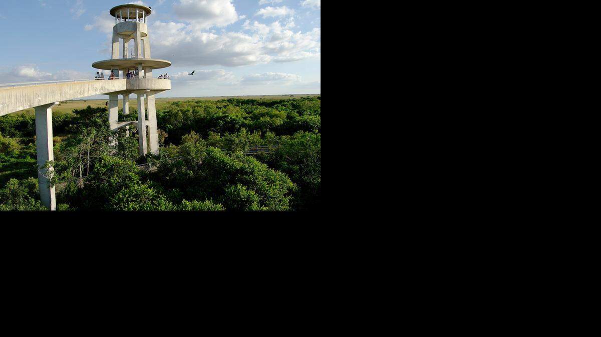 
Shark Valley in Everglades National Park includes an observation deck with sweeping views of the surrounding glades.
