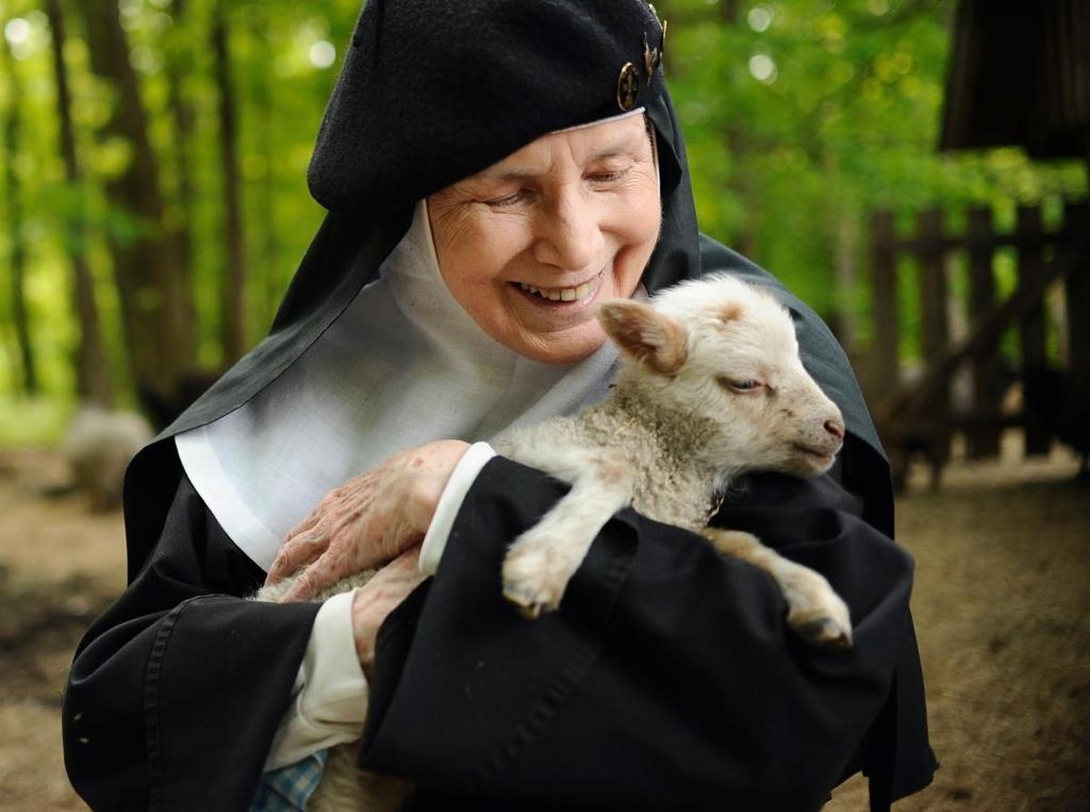 Mother Dolores Hart holds a baby sheep at the Abbey of Regina Laudis, in Bethlehem, Conn. Mother Dolores, a former actress who is best known for sharing the first on-screen kiss with Elvis Presley, has helped the Abbey which is in need of renovations gain exposure and aid from fans of Presley.
