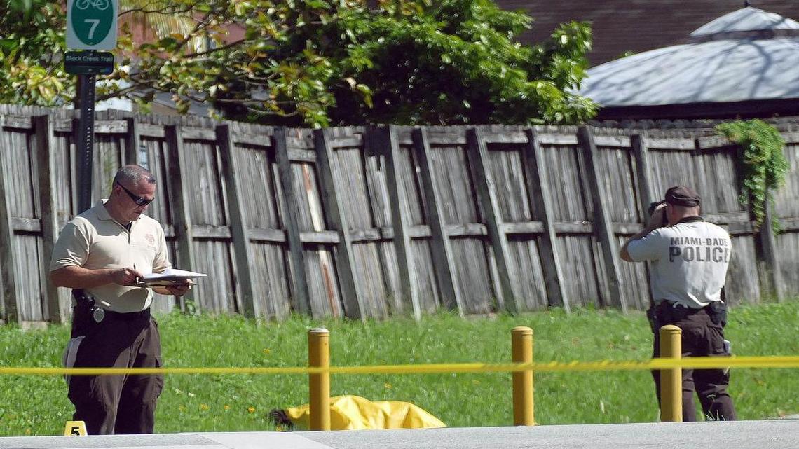 Miami-Dade police crime scene investigators photograph the body of a robbery suspect near a canal embankment near Southwest 127th Avenue and 206th Street in South Miami-Dade on Tuesday, Nov. 17.