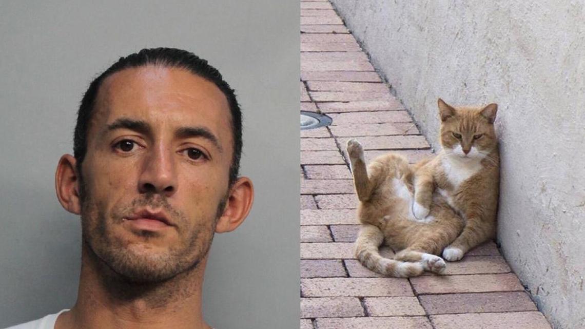 Georgios Lollias, left, and Strushie the cat.