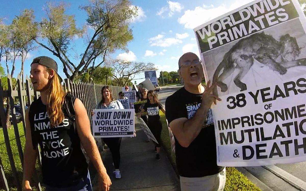 Protesters with Smash HLS gathered in January in Kendall at the home of an employee of Worldwide Primates.