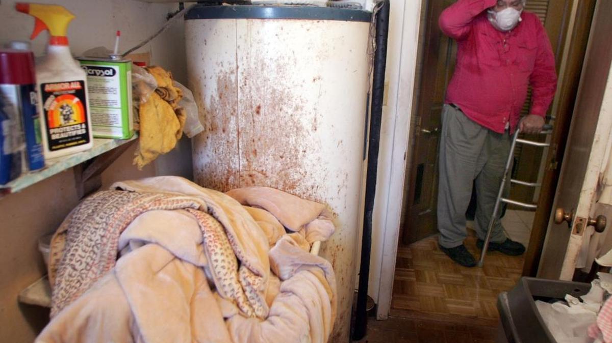 Citizens Property Insurance, a state-run company, represents hundreds of thousands of Florida businesses and homeowners. In this file photo, a North Miami homeowner shows water damage in a laundry room in 2006.