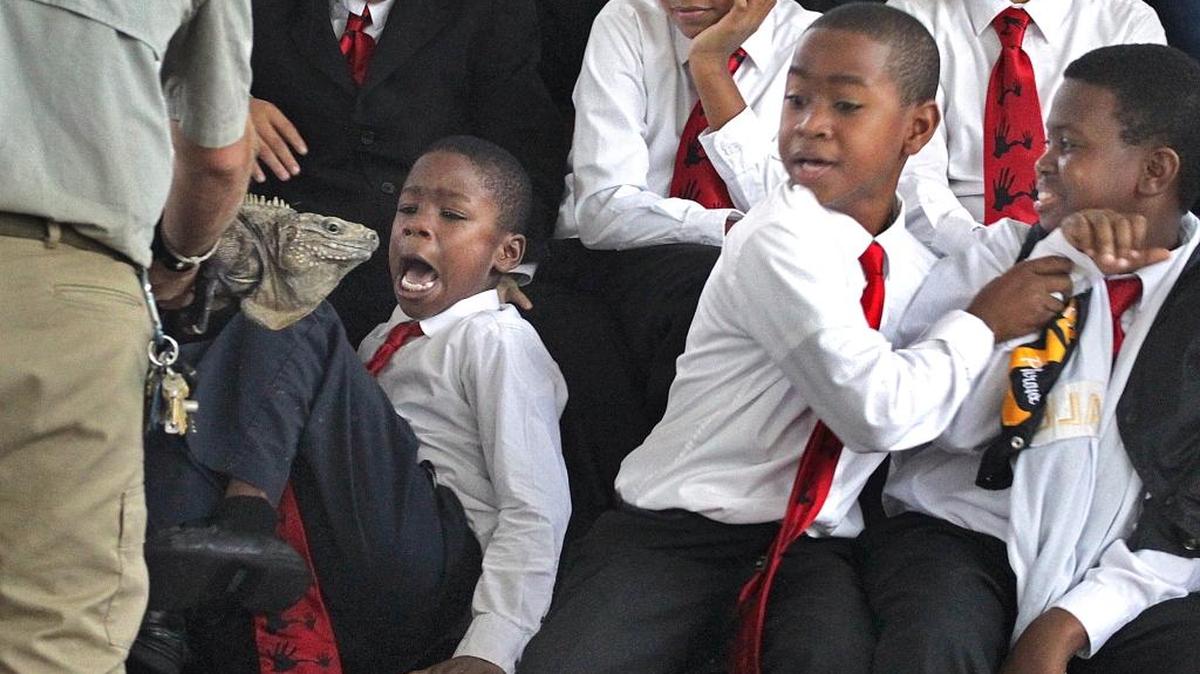 Delemtris Durden, 9, left, shows he’s not a fan of reptiles as Bryan Patton, 9, center, leans out towards Darrell Forbes, 11, right. The boys were visiting Jungle Island for the 5000 Role Models of Excellence Project’s Annual Christmas Summit.