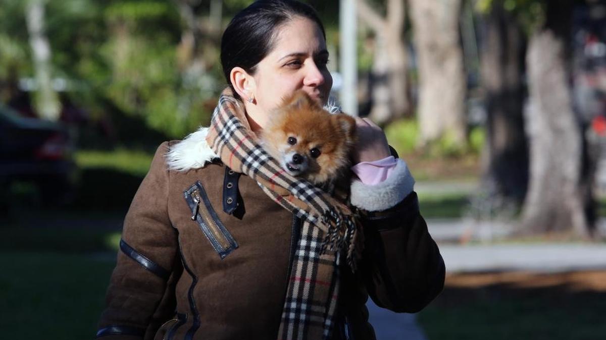 Beatriz Magarino and her pet dog, Charlie, cover up from the cold weather in Coral Gables on Thursday, Jan. 4, 2018.