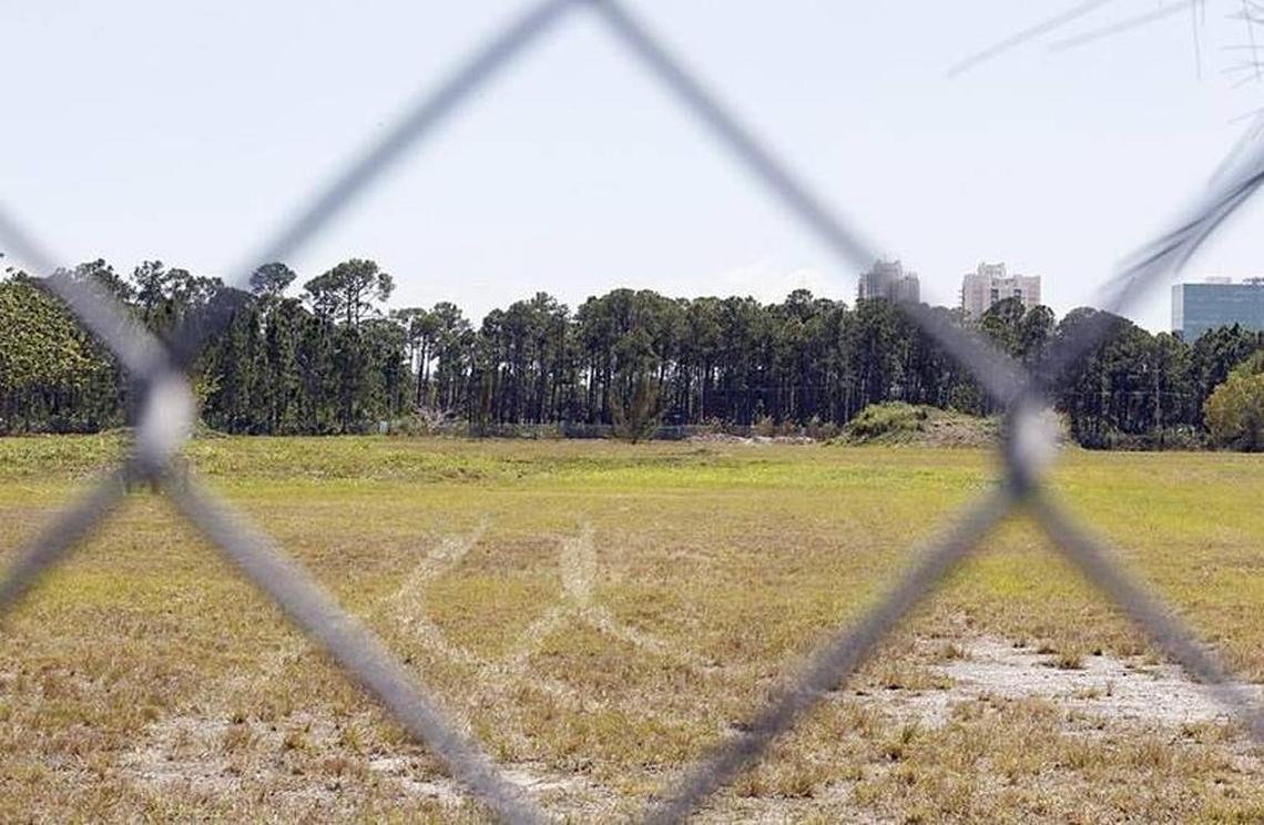 View of the Trinity Pineland located behind an empty lot that is the center of a fight by a group of neighbors opposed to the creation of a new charter school on SW 72nd Street and Sunset Drive.