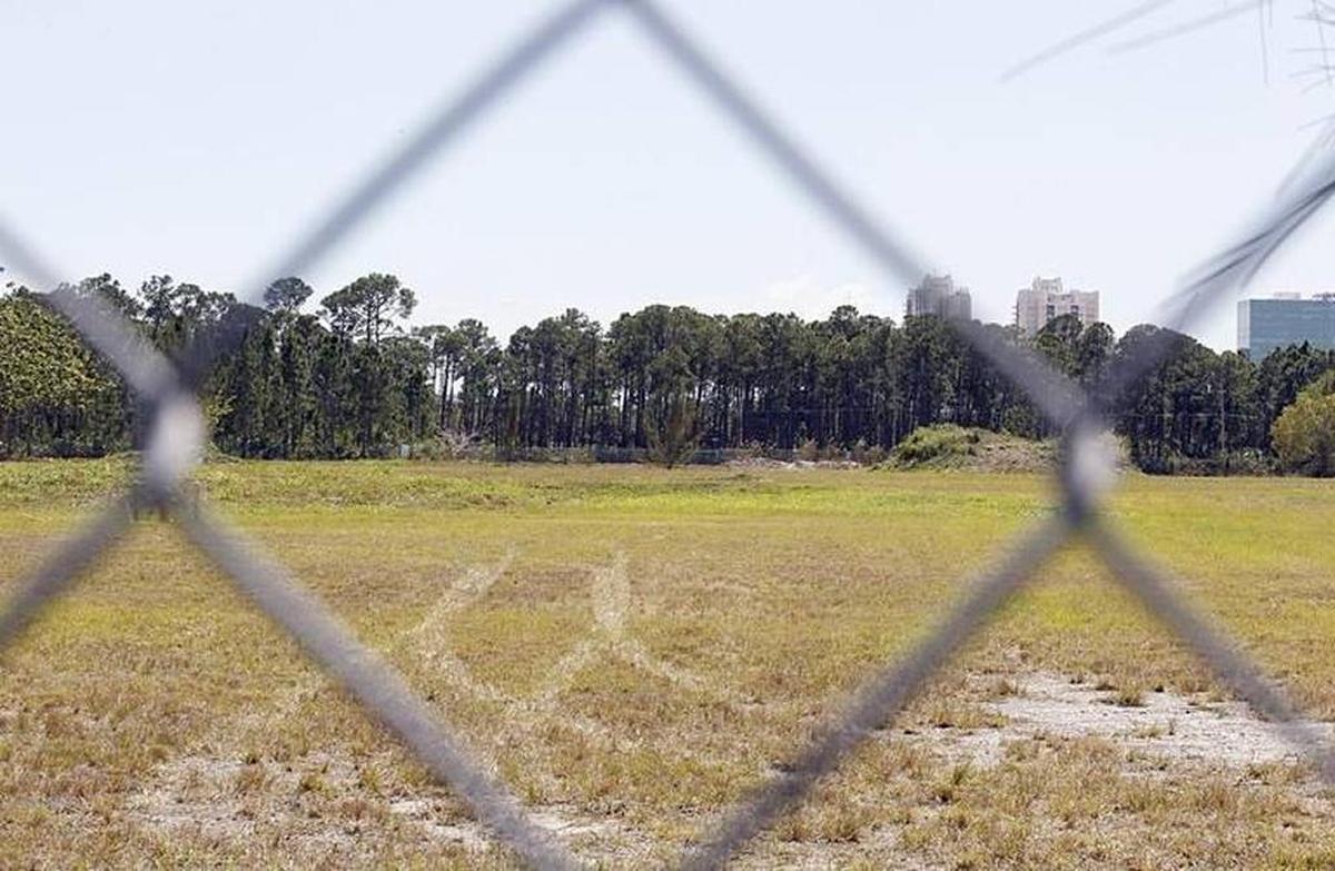 View of the Trinity Pineland located behind an empty lot that is the center of a fight by a group of neighbors opposed to the creation of a new charter school on SW 72nd Street and Sunset Drive.