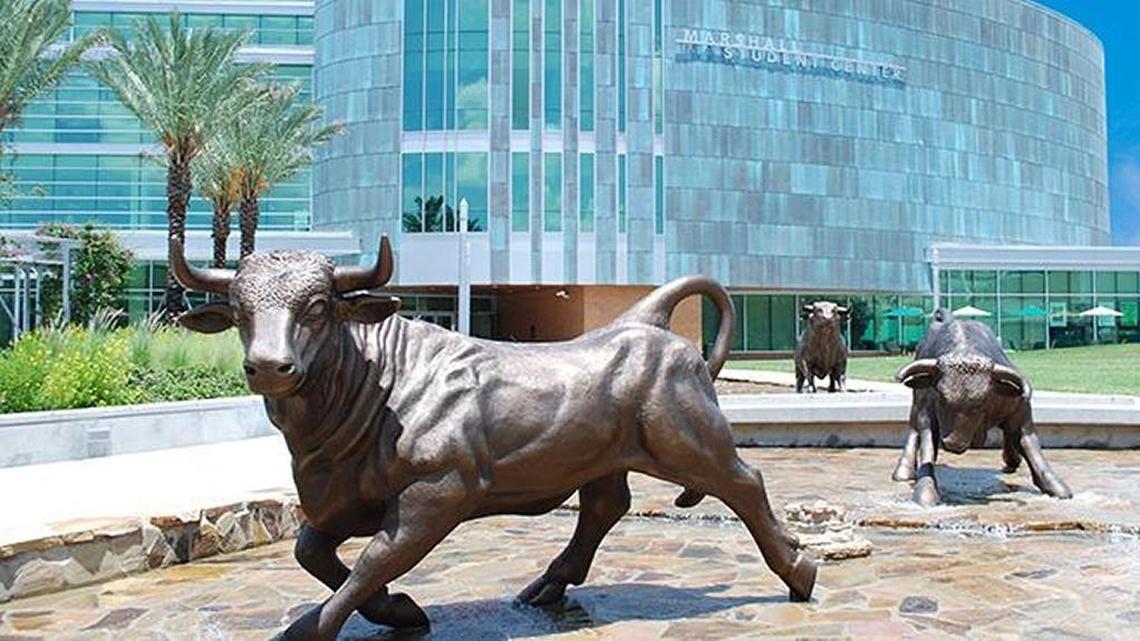 Speculation was rampant among lawmakers and USF faithful that Florida State pushed for the higher graduation standard to avoid having to split $48 million of preeminence money three ways instead of dividing it with UF.