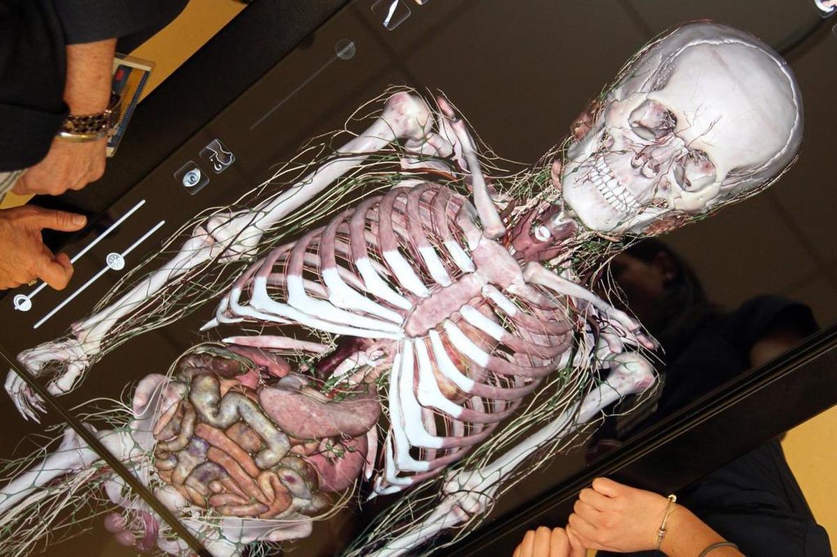 Dr. Carmen Caicedo, assistant professor, shows nursing students different views of the human anatomy that can be studied on The Anatomage Table.