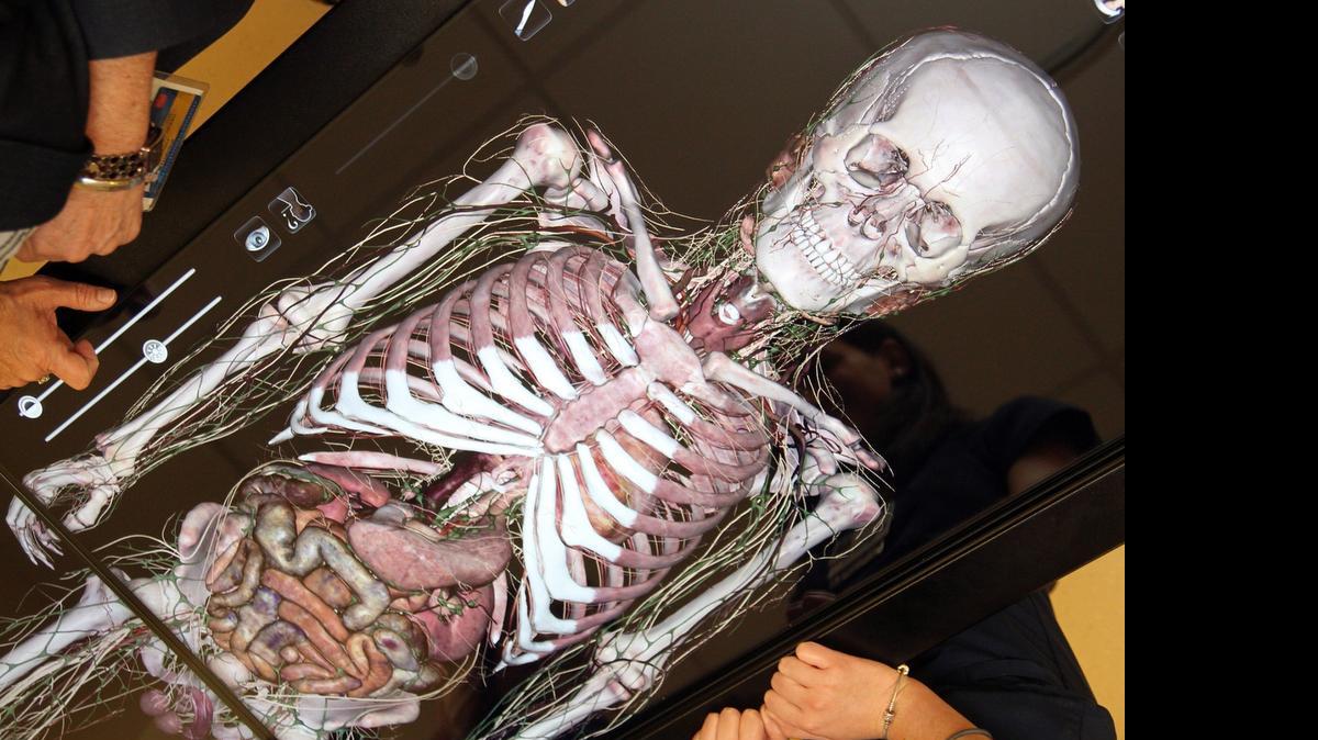 
Dr. Carmen Caicedo, assistant professor, shows nursing students different views of the human anatomy that can be studied on The Anatomage Table.

