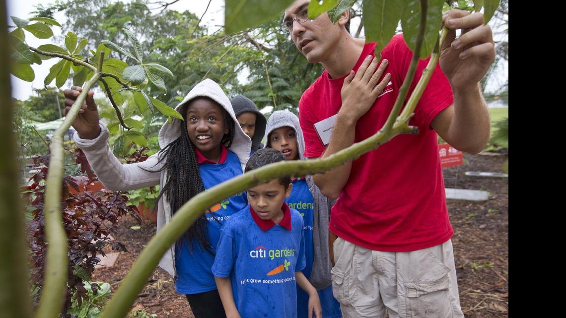 
 Tanyiah Jones 10, left, along with Carlos Contreras 9, and Ronnield Luna 8 take a tour of the garden at Kelsey Pharr Elementary with Education Fund gardener Samuel Chillaron on Wednesday, April 29th, 2015.
