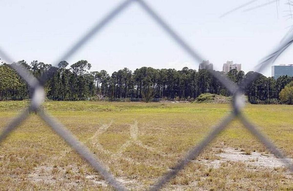 View of the Trinity Pineland located behind an empty lot that is the center of a fight by a group of neighbors opposed to the creation of a new charter school on SW 72nd Street and Sunset Drive.