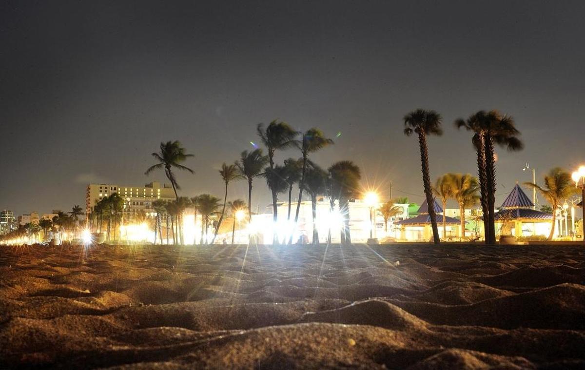 City lights can disorient baby sea turtles, causing them to scramble along the beach looking for the surf. But a new study found that even disoriented turtles weren’t too tired to swim.