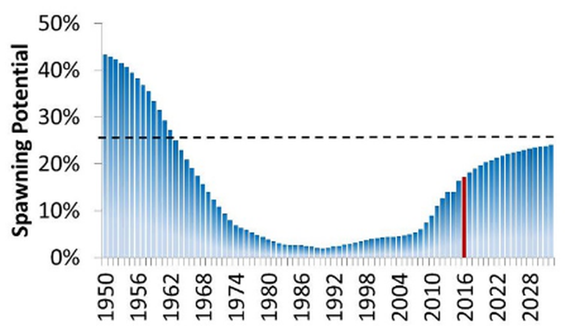 The Gulf of Mexico red snapper population crashed in the mid 1980s after over-fishing but has steadily rebounded under strict fishing limits.