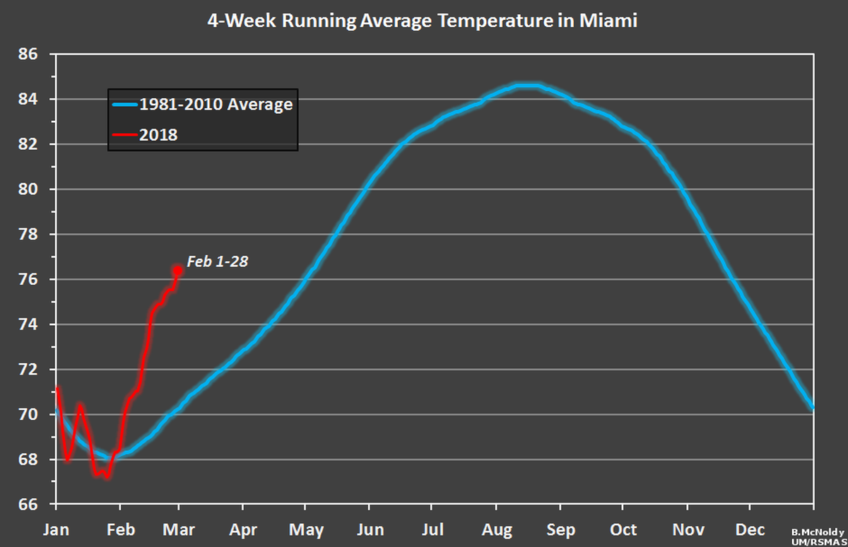 Average temperatures in February, which reached levels normally felt during South Florida’s muggy spring, are on pace to set a new record high.