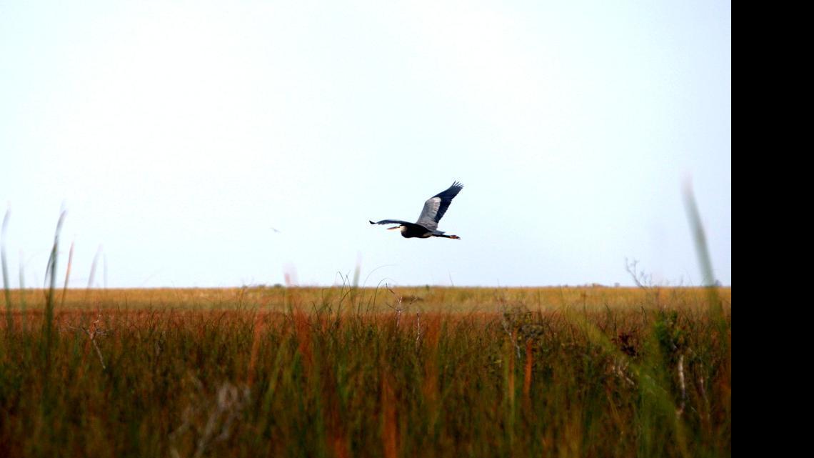 
Three environmental groups sued Florida lawmakers Monday, claiming they violated the Florida constitution by passing a state budget that misspends money voters approved for buying sensitive lands.
