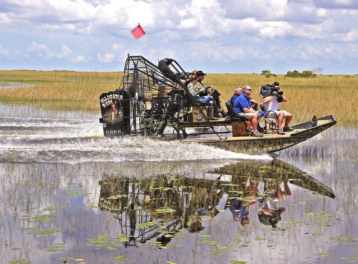 Florida Fish and Wildlife Conservation Commissioner Ron Bergeron led an airboat tour Thursday, June 29, 2017, in a water conservation area west of Broward County to show how high waters have flooded tree islands and threatened wildlife.