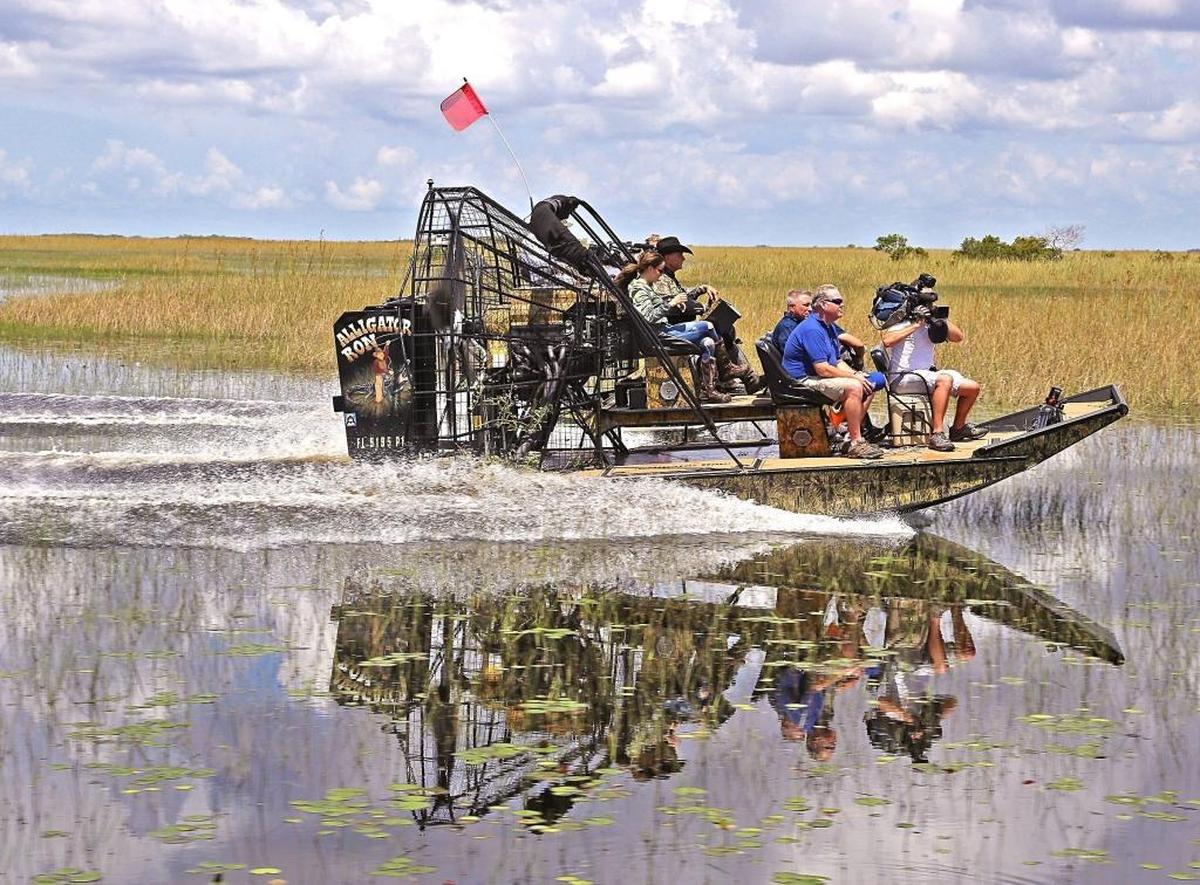 Florida Fish and Wildlife Conservation Commissioner Ron Bergeron led an airboat tour Thursday, June 29, 2017, in a water conservation area west of Broward County to show how high waters have flooded tree islands and threatened wildlife.