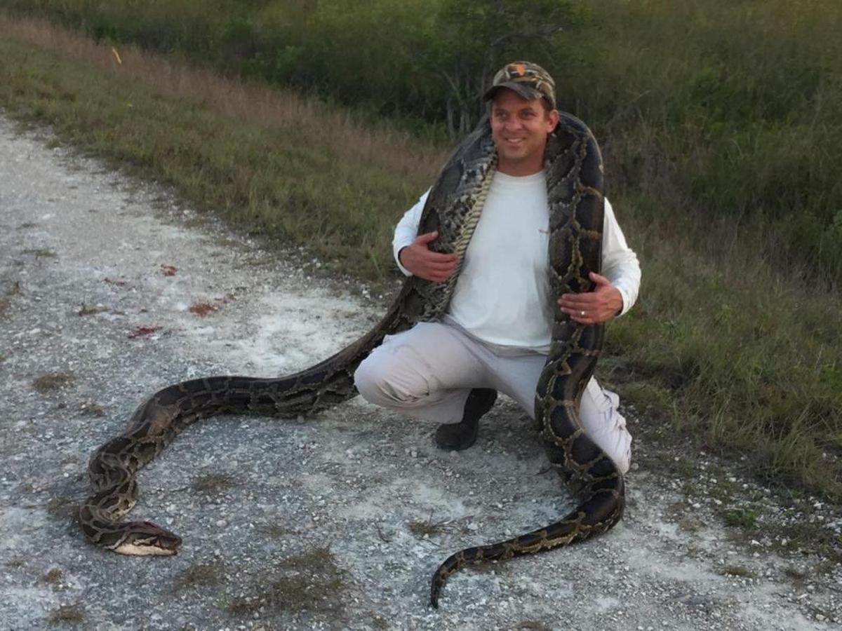 Lt. Gov. Carlos Lopez-Cantera tagged along on a hunt that snagged a 15-foot python in May.
