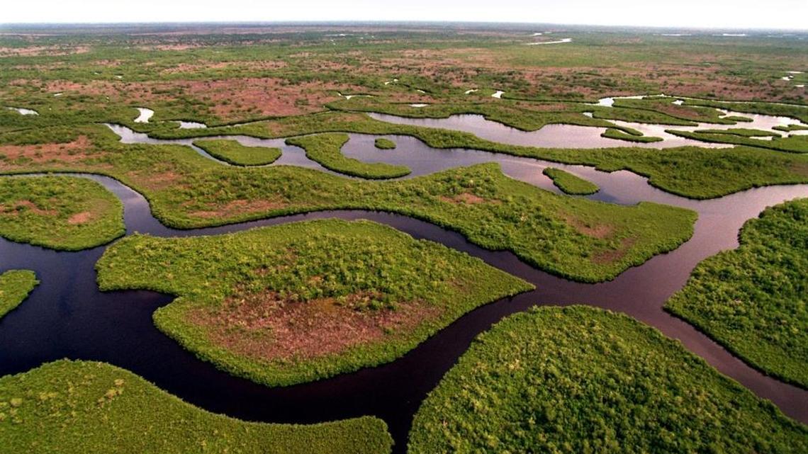 Two weeks before he was elected president, Donald Trump vowed during a speech at the Collier County Fairgrounds to “restore and protect the beautiful Everglades.”