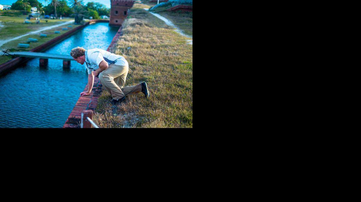 
Mark Parry, a wildlife biologist with U.S. Park Service, leans over the edge of Fort Jefferson, searching for the lone crocodile to live at Dry Tortugas National Park.
