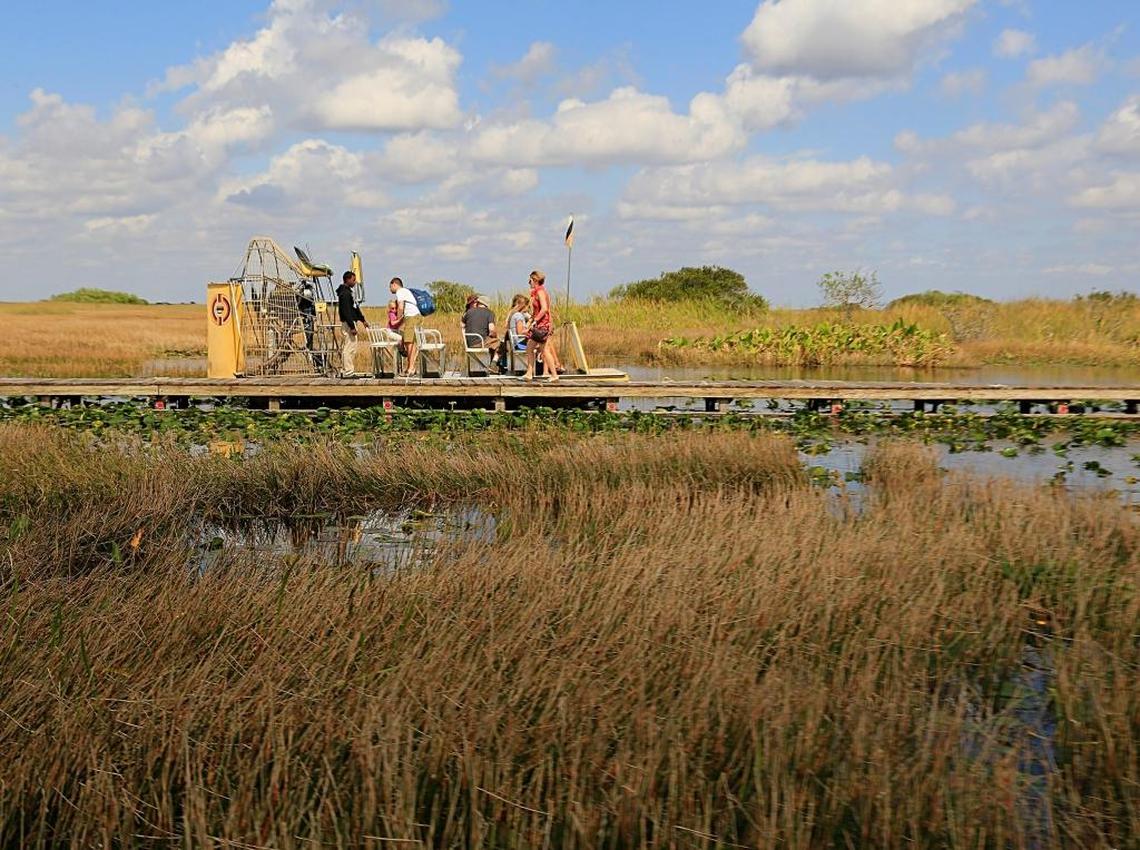 Everglades visitors board an airboat after visiting a tree island inside the Everglades National Park near Tamiami Trail.