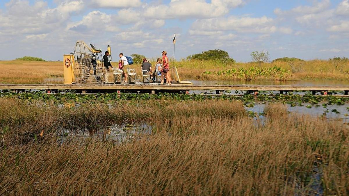 Everglades visitors board an airboat after visiting a tree island inside the Everglades near Tamiami Trail, Tuesday, February 7, 2017.