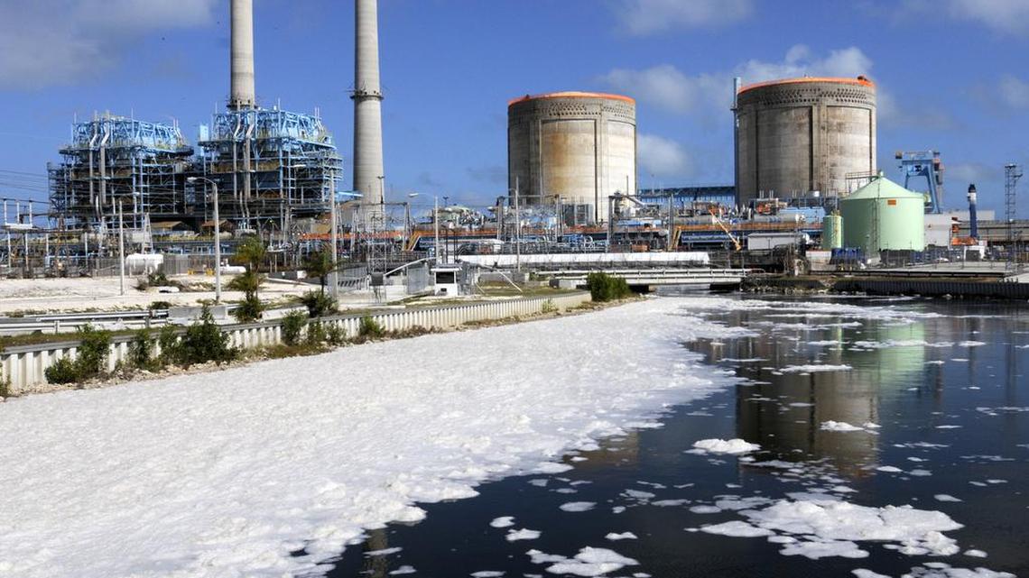 Miami-Dade County environmental regulators say they will likely cite Florida Power & Light for again violating local water laws after tests showed canal water had leaked into Biscayne Bay, depositing high amounts of ammonia and phosphorus.