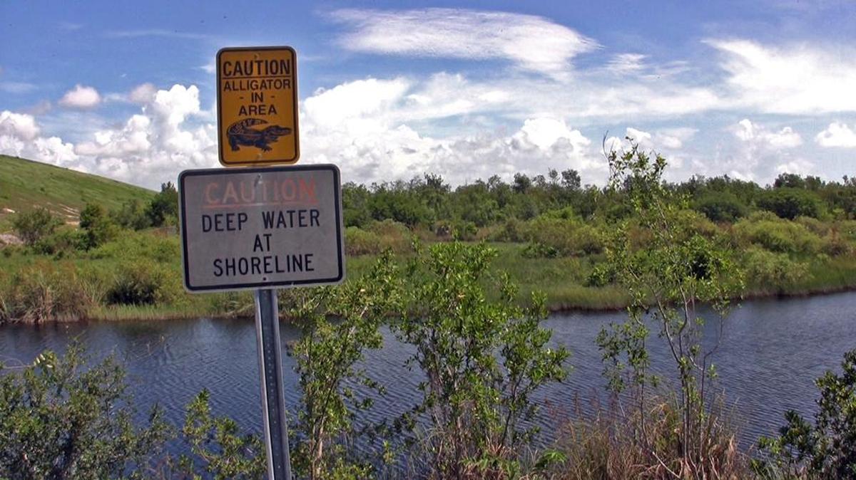 Miami-Dade County has teamed up with the Nature Conservancy and engineering firm CH2M to study how much protection wetlands and mangroves east of the county’s landfill, Mt. Trashmore, provide for the nearby wastewater treatment plant against sea rise.