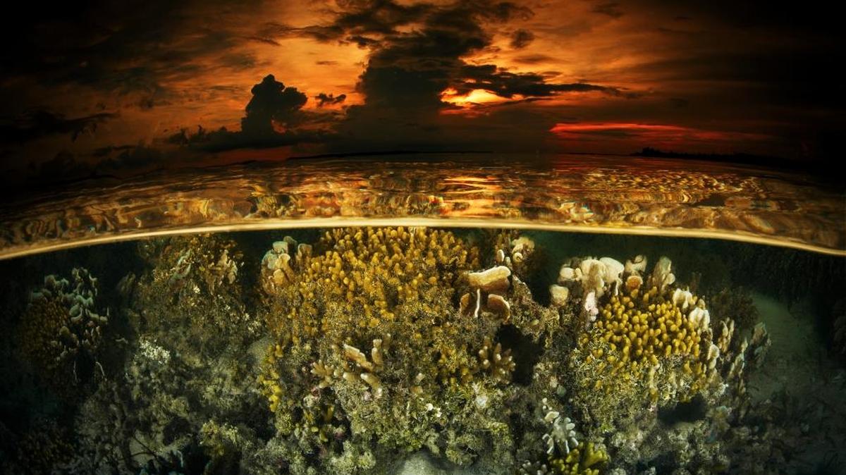 Honorable mention, wide angle: A reef at sunset in Papau New Guinea.